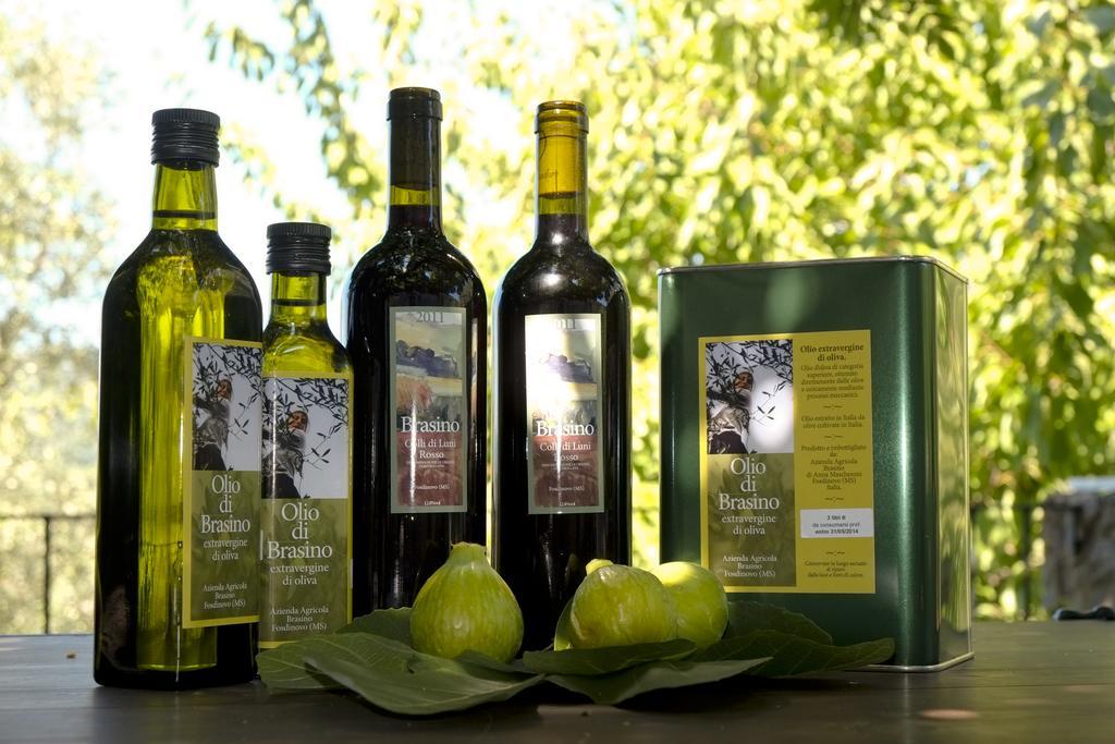 Agriturismo Brasino Fosdinovo Pokój zdjęcie