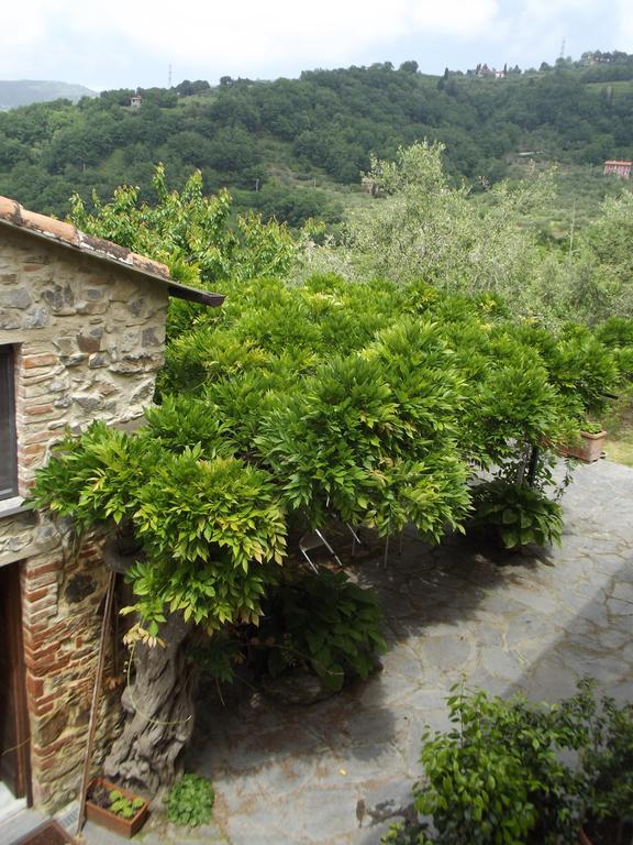 Agriturismo Brasino Fosdinovo Pokój zdjęcie