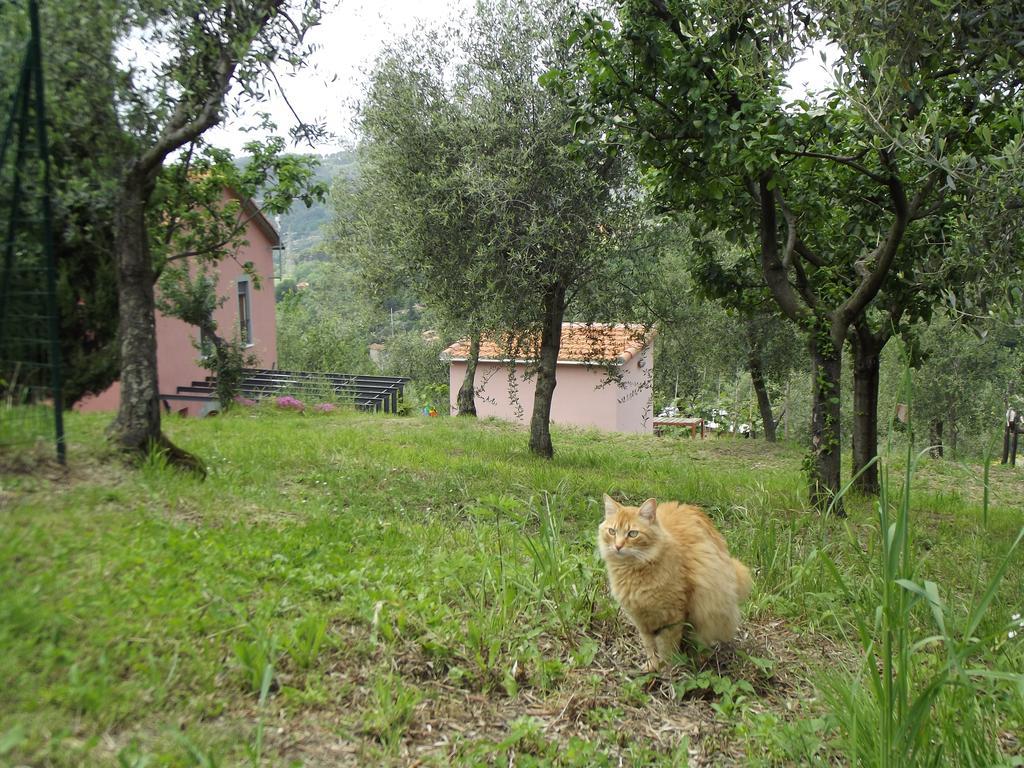 Agriturismo Brasino Fosdinovo Pokój zdjęcie