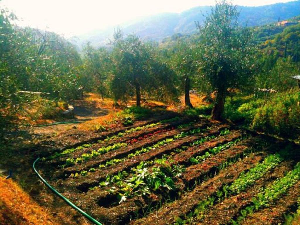 Agriturismo Brasino Fosdinovo Pokój zdjęcie