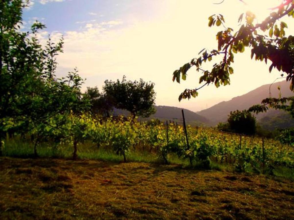 Agriturismo Brasino Fosdinovo Pokój zdjęcie